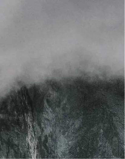 Tiroler Kola Small Image