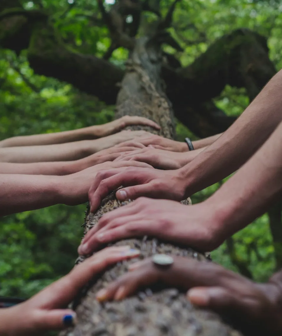 Hands on Tree